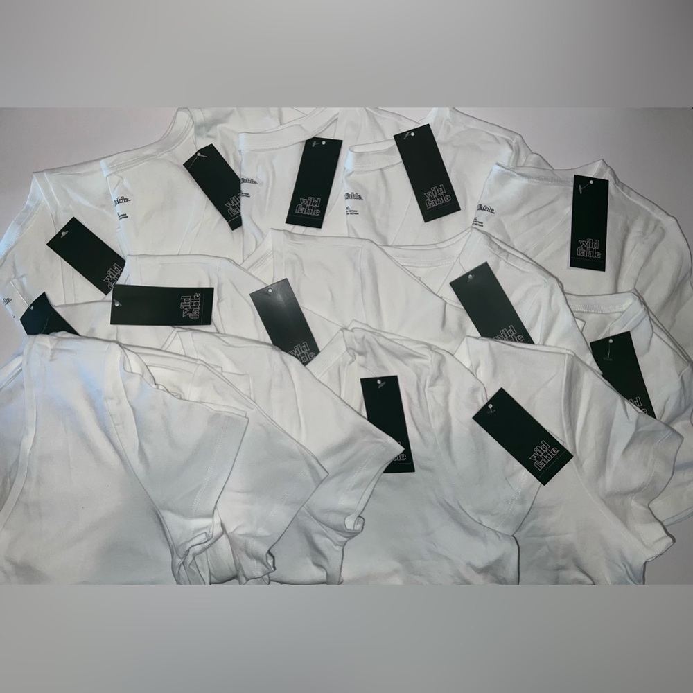 Wild Fable Cropped Tee - Reseller Bundle